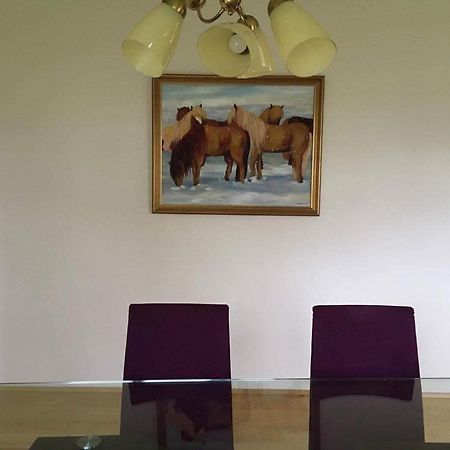 Thorbrandsstadir Farm Holidays Thorbrandsstathir المظهر الخارجي الصورة